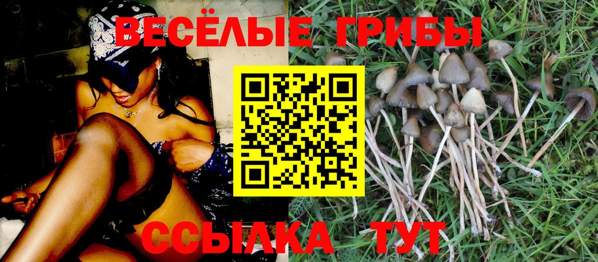 Галлюциногенные грибы Magic Shrooms  Галлюциногенные грибы мухоморы  Кириши  Вход с VPN 
