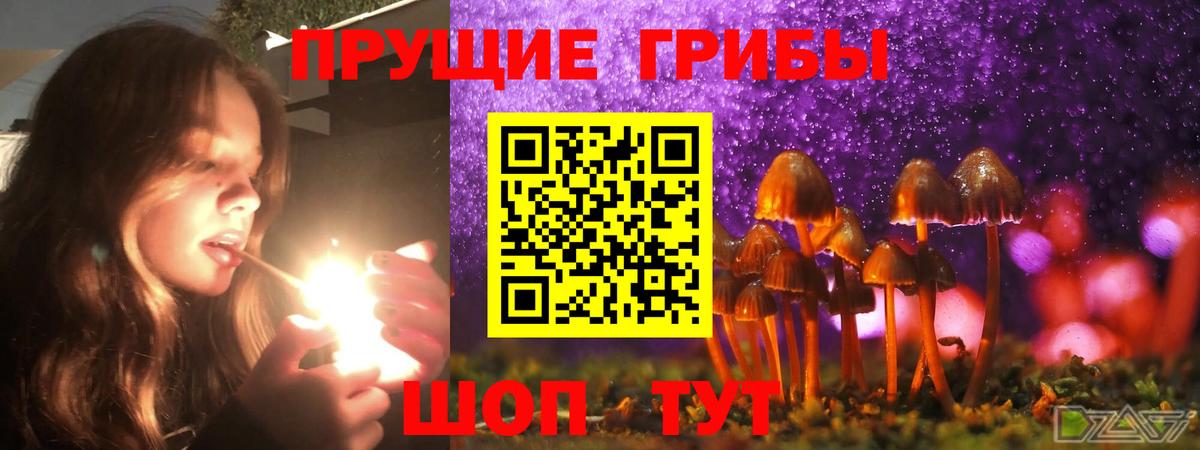 Псилоцибиновые грибы Psilocybine cubensis Кириши